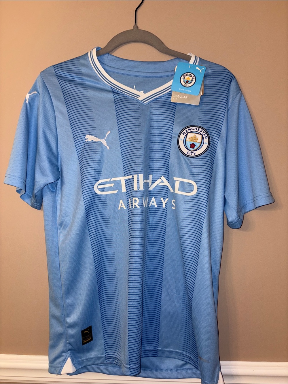 Puma Manchester City 23-24 Light Blue Home Jersey
